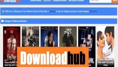 Does DownloadHub Work