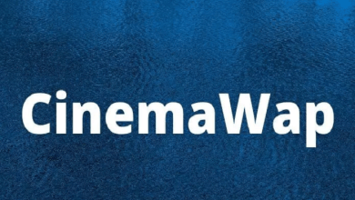 How to Unblock the CinemaWap App