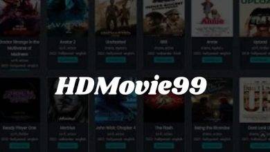 The Truth About HDMovie99 Apk
