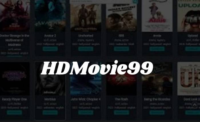 The Truth About HDMovie99 Apk